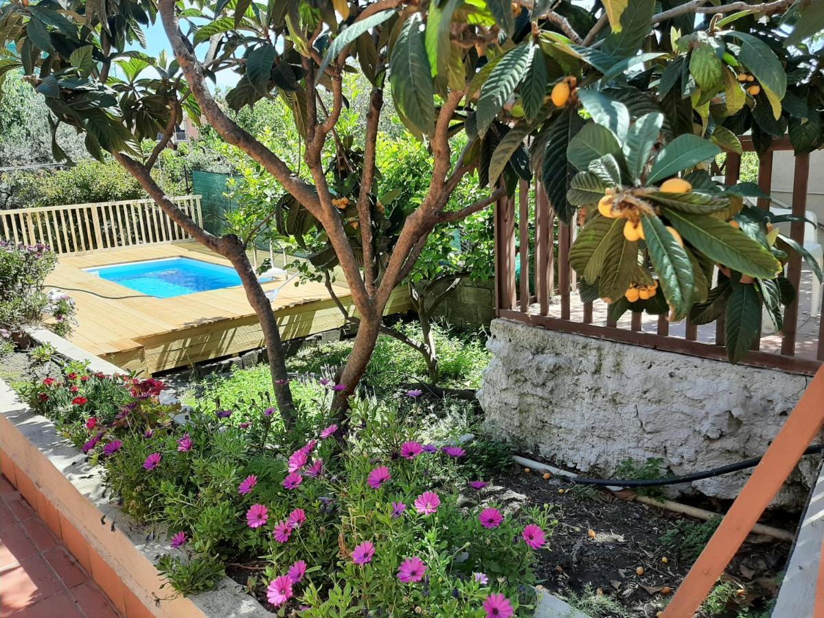 Carrubo - Giardino In Citta Villa Катания Екстериор снимка